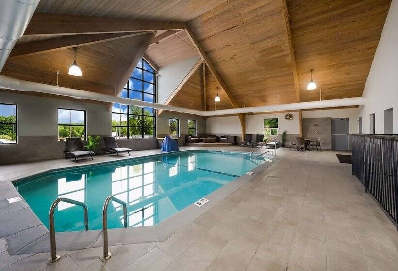 فندق Best Western Executive Inn