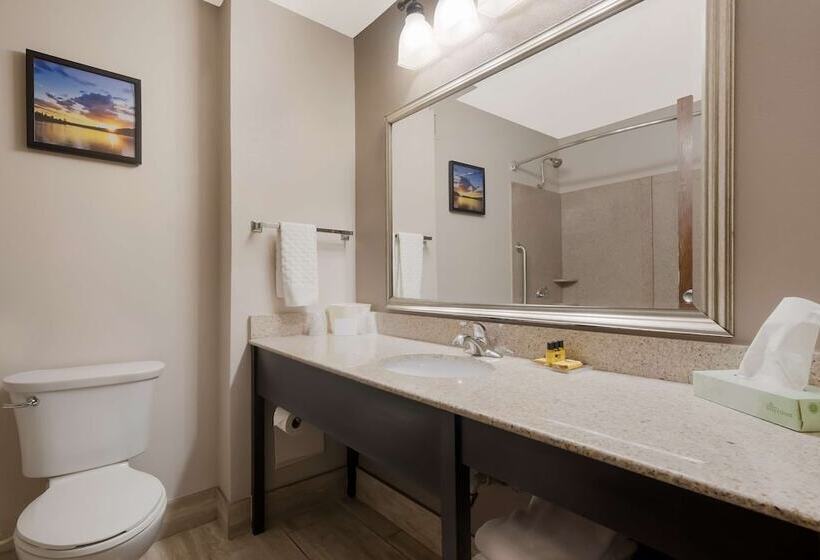 בית מלון כפרי Best Western Executive Inn