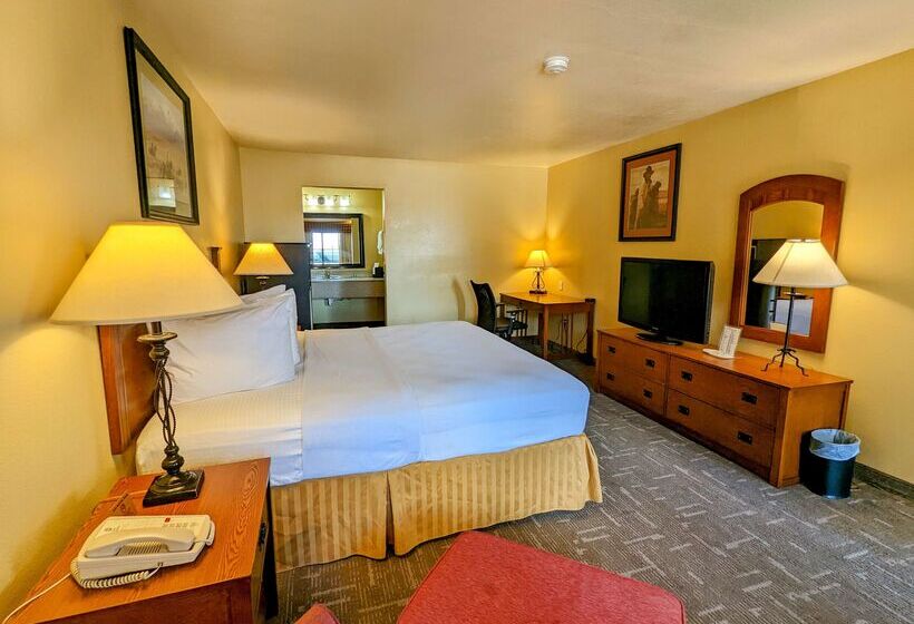 酒店 Best Western Executive Inn