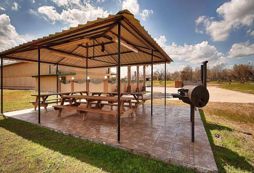 酒店 Best Western Executive Inn