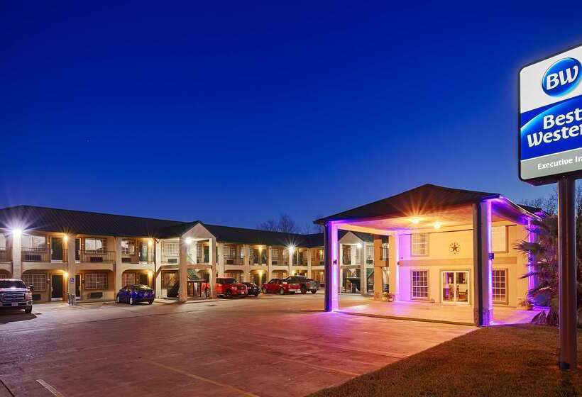 酒店 Best Western Executive Inn