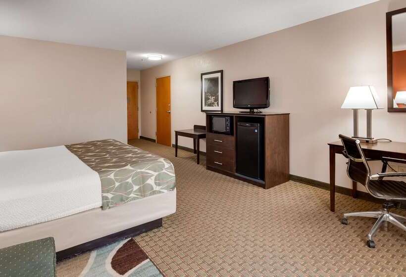 فندق Best Western Executive Inn