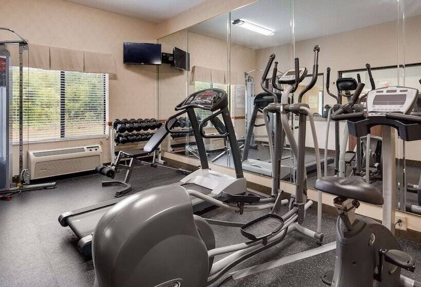 فندق Best Western Executive Inn