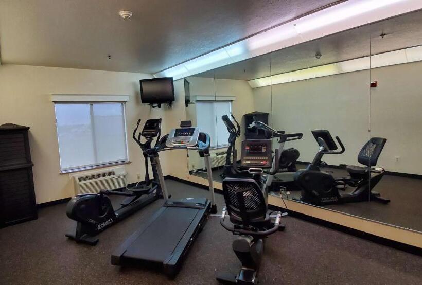 호텔 Best Western Executive Inn & Suites