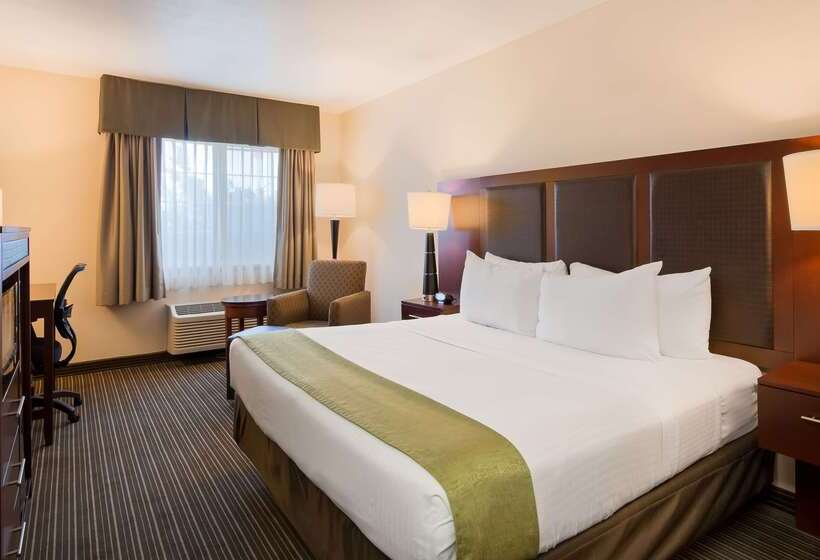 호텔 Best Western J. C. Inn