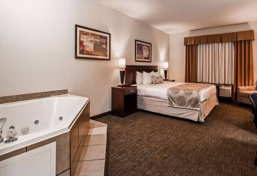 酒店 Best Western Jacksonville Inn