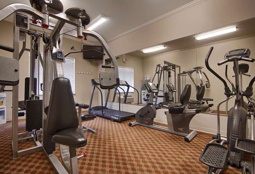 호텔 Best Western Limestone Inn And Suites