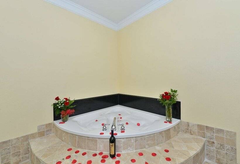 فندق Best Western Lone Star Inn