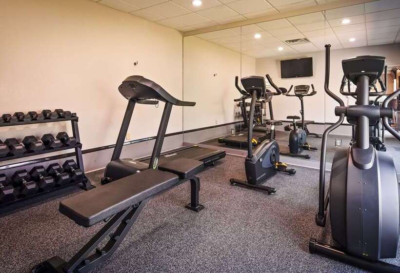فندق Best Western Magnolia Inn And Suites