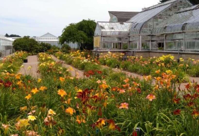 ホテル Best Western Manhattan Inn