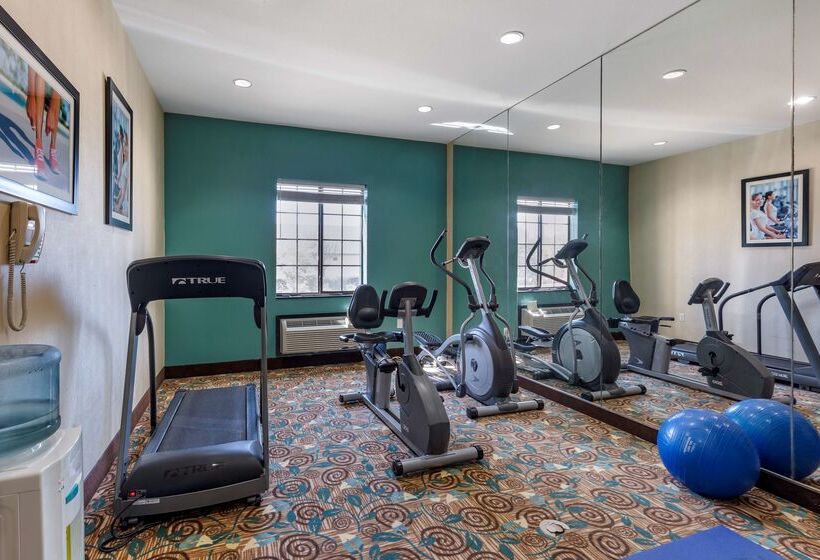 호텔 Best Western Mineola Inn