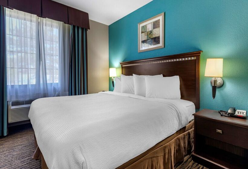 호텔 Best Western Mineola Inn