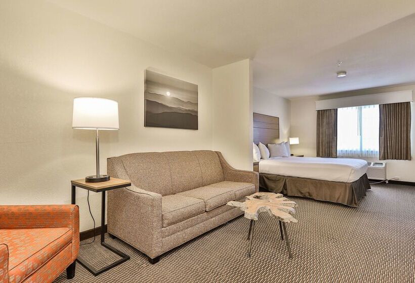 فندق Best Western Mountain View Inn