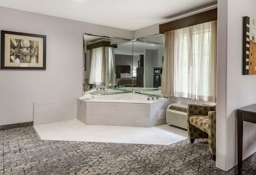 בית מלון כפרי Best Western Oakdale Inn