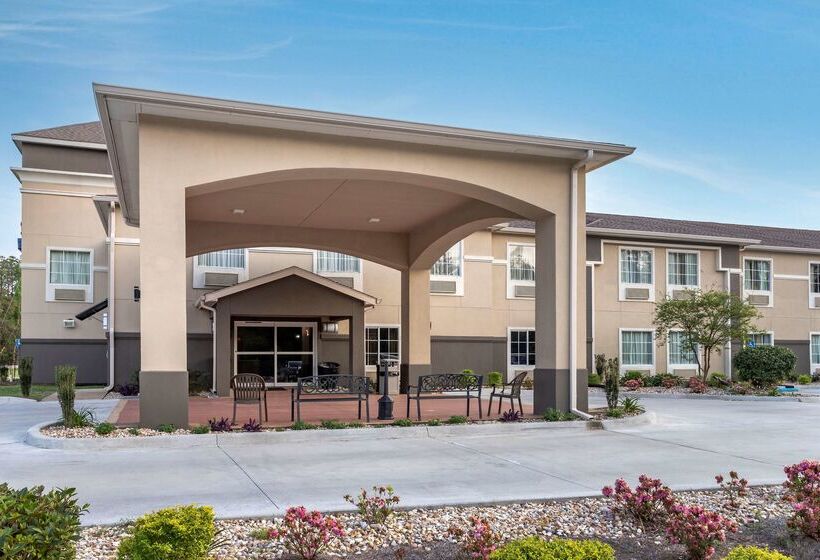 בית מלון כפרי Best Western Oakdale Inn