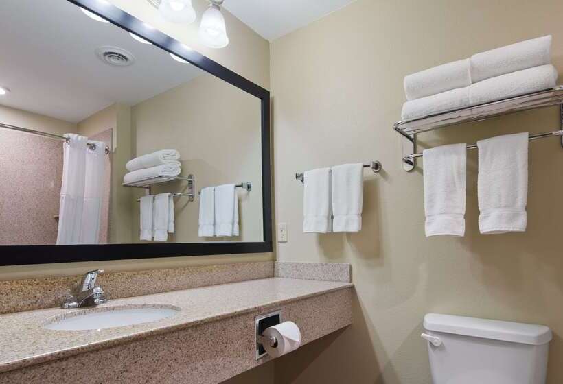 酒店 Best Western Oasis Inn