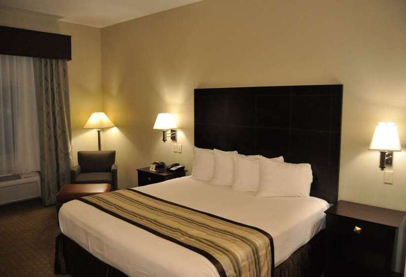 酒店 Best Western Oasis Inn