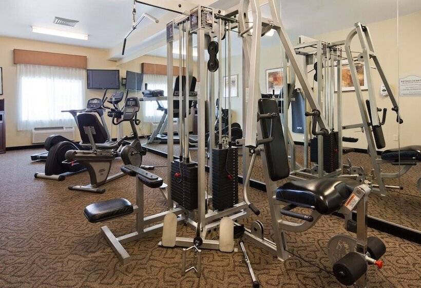 酒店 Best Western Oasis Inn