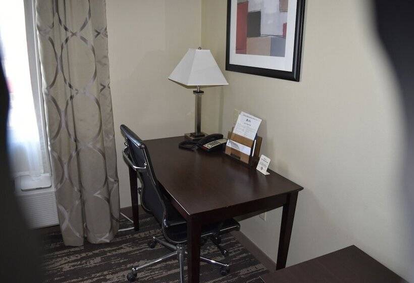 酒店 Best Western Oasis Inn