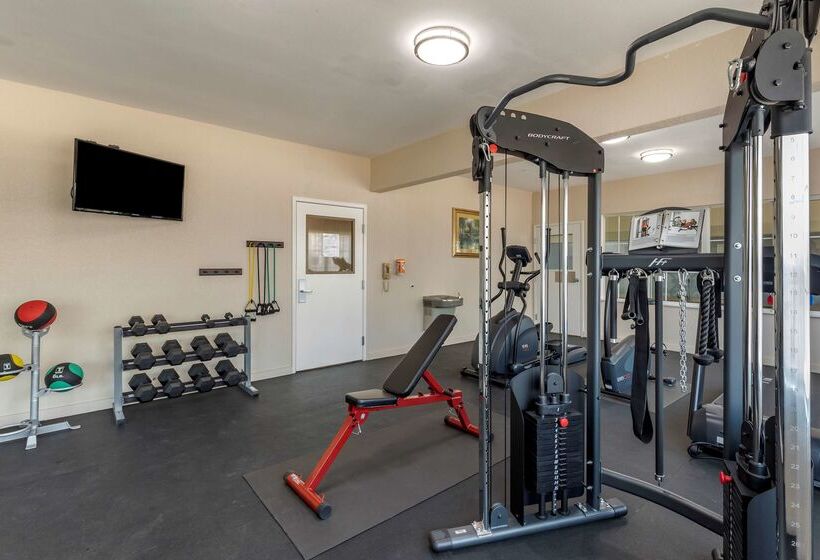 호텔 Best Western Palo Duro Canyon Inn & Suites