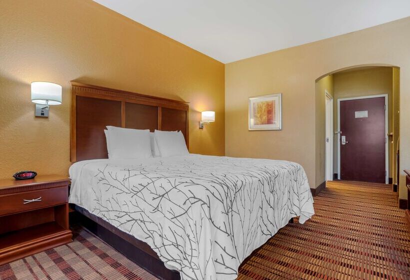 בית מלון כפרי Best Western Plaquemine Inn