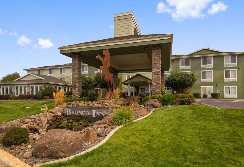فندق Best Western Bronco Inn