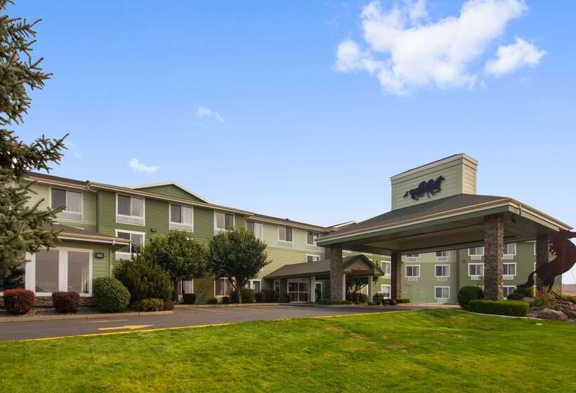 فندق Best Western Bronco Inn