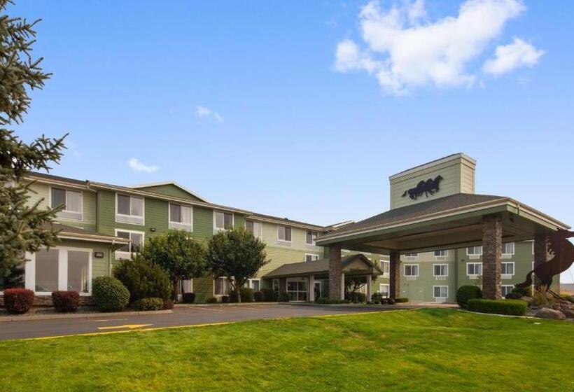 فندق Best Western Bronco Inn