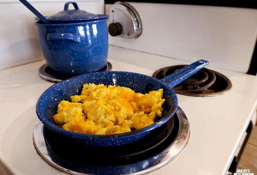 فندق Best Western Bronco Inn