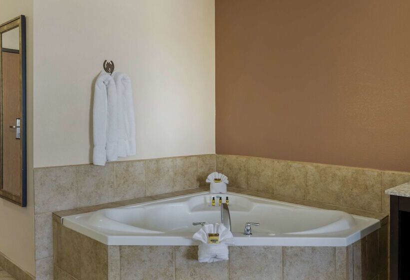 호텔 Best Western Plus Country Inn & Suites