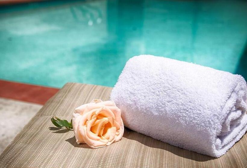 Отель Best Western Plus Country Park