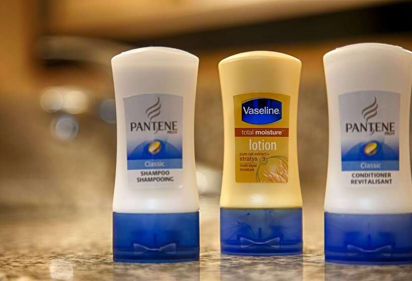 فندق Best Western Plus Flowood Inn & Suites