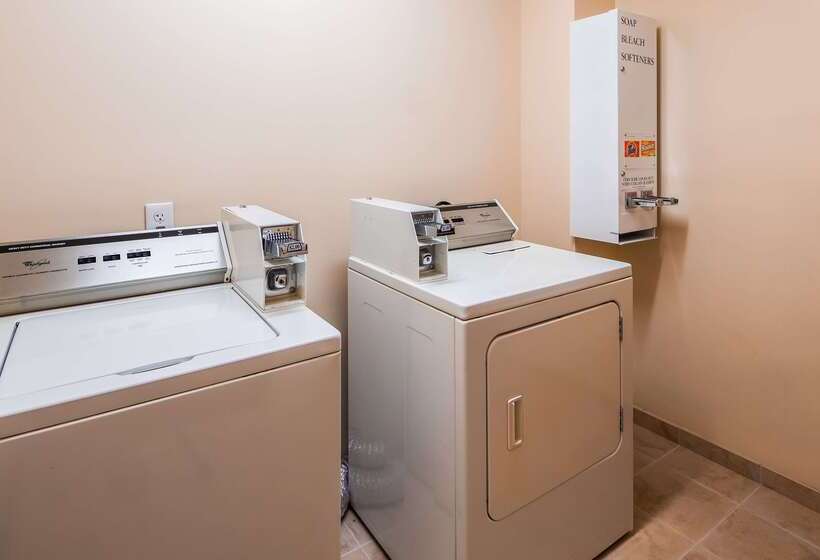 فندق Best Western Plus Flowood Inn & Suites