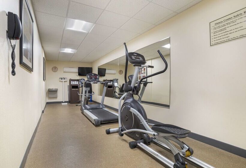 فندق Best Western Plus Flowood Inn & Suites