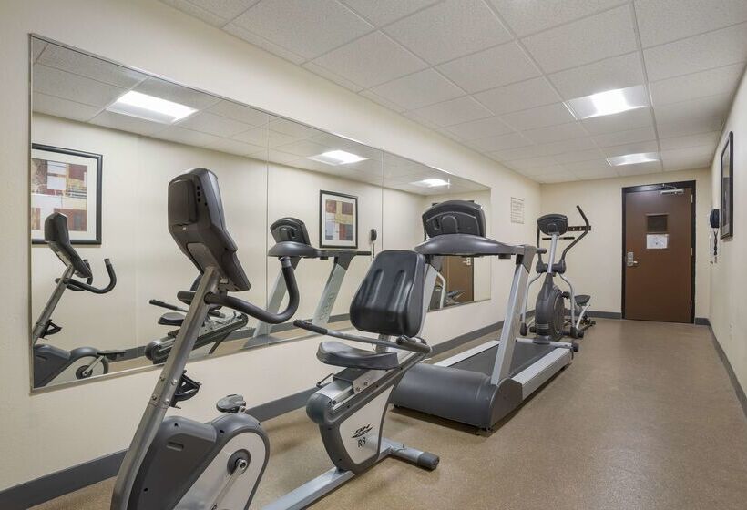 فندق Best Western Plus Flowood Inn & Suites