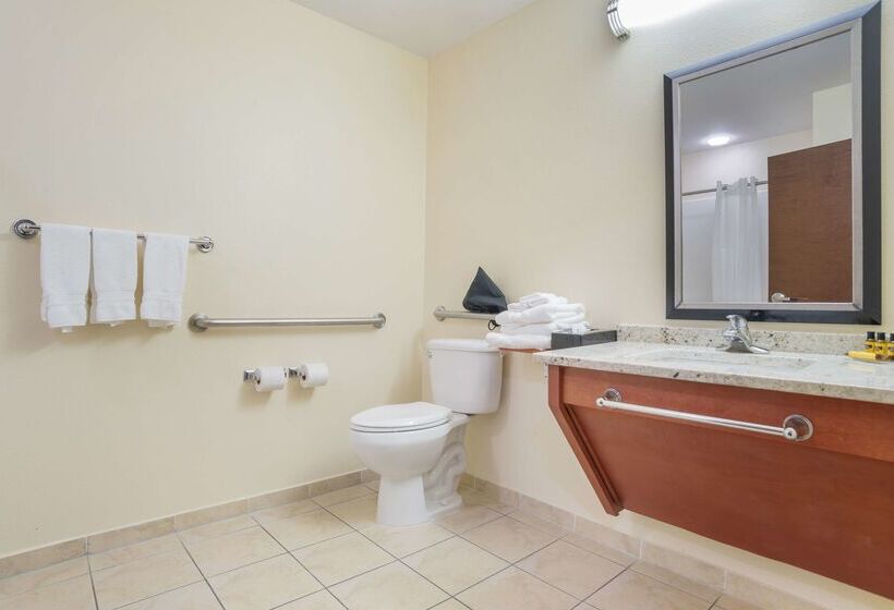 فندق Best Western Plus Flowood Inn & Suites