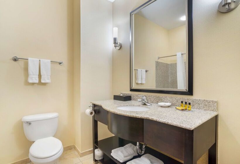 فندق Best Western Plus Flowood Inn & Suites