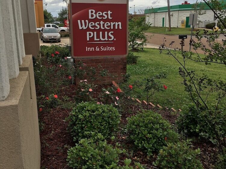 فندق Best Western Plus Flowood Inn & Suites