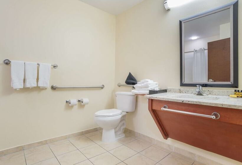 فندق Best Western Plus Flowood Inn & Suites