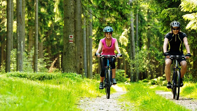 Best Western Plus Gadsden Hotel & Suites