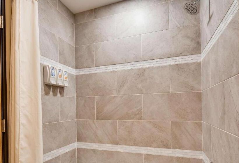 فندق Best Western Plus Grapevine Inn