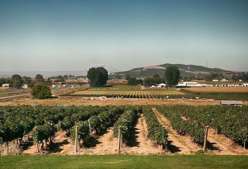 فندق Best Western Plus Grapevine Inn