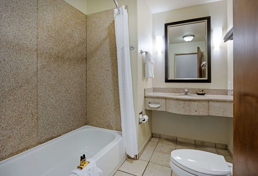 Best Western Plus Guymon Hotel & Suites