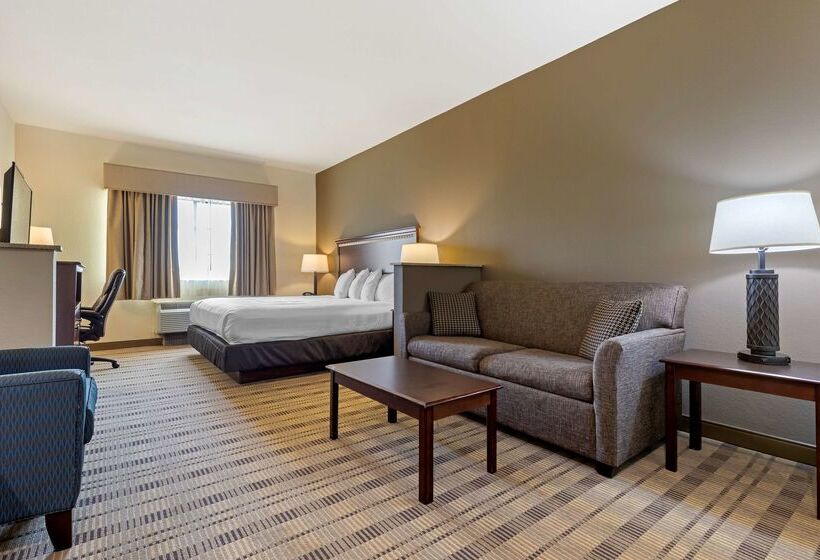 酒店 Best Western La Grange Inn & Suites