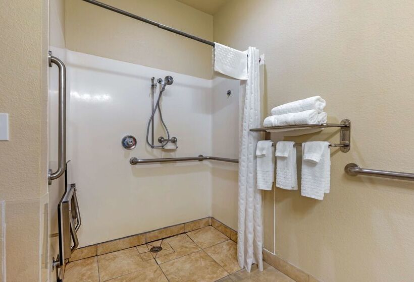 酒店 Best Western La Grange Inn & Suites