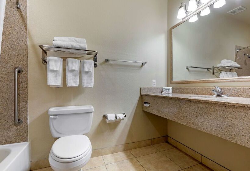 酒店 Best Western La Grange Inn & Suites