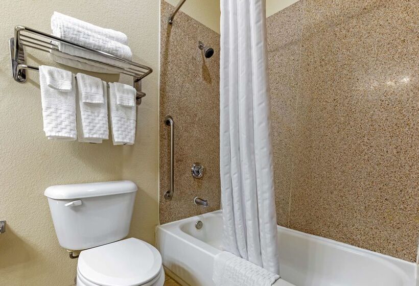 酒店 Best Western La Grange Inn & Suites