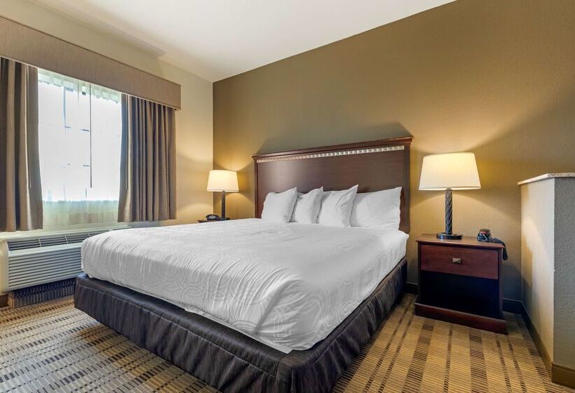 酒店 Best Western La Grange Inn & Suites