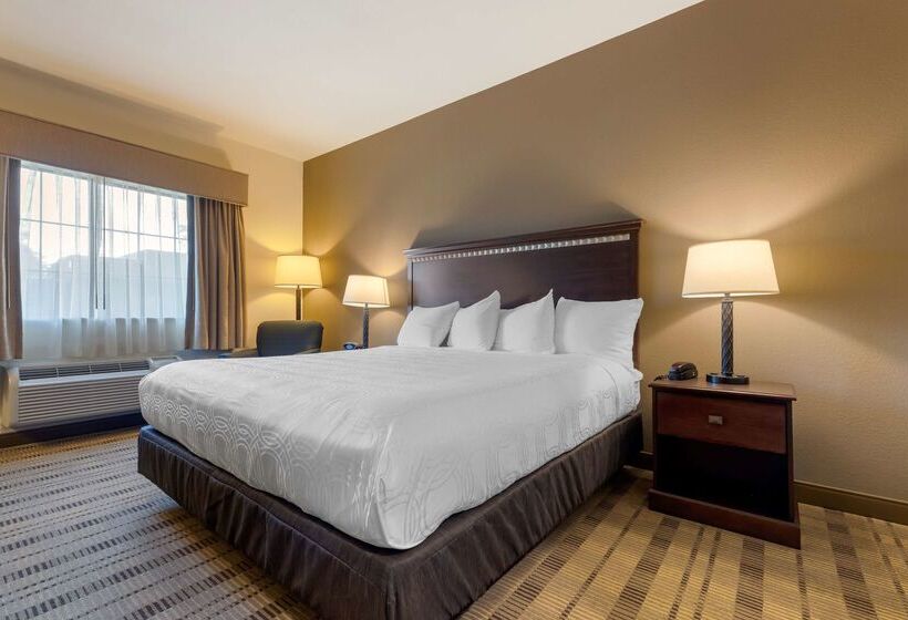 酒店 Best Western La Grange Inn & Suites