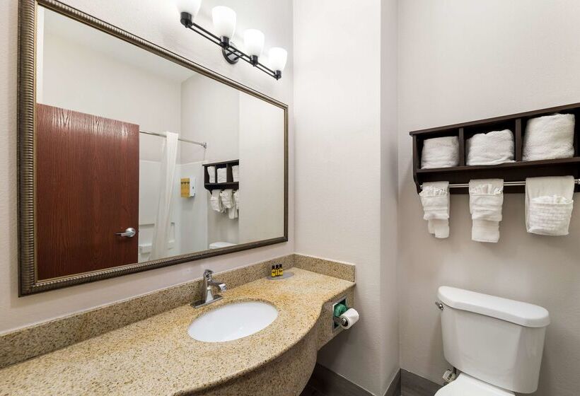 Отель Best Western Plus Lake Dallas Inn & Suites